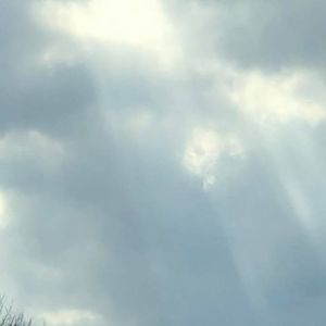 Meet your Posher, Laurie